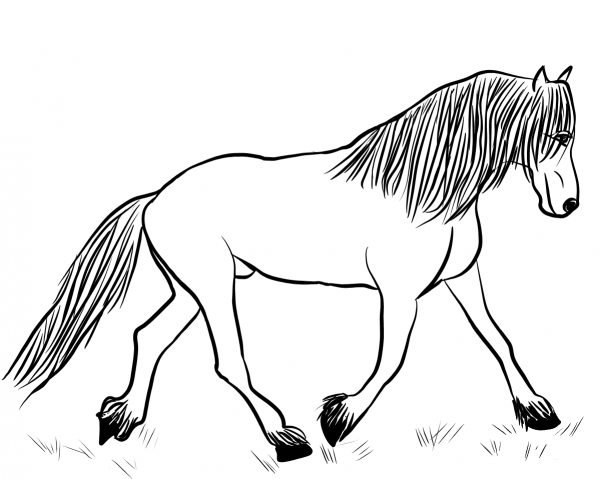 Friesian Horse coloring page image