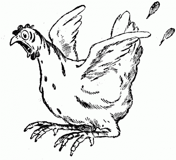 Frightened Hen coloring page image