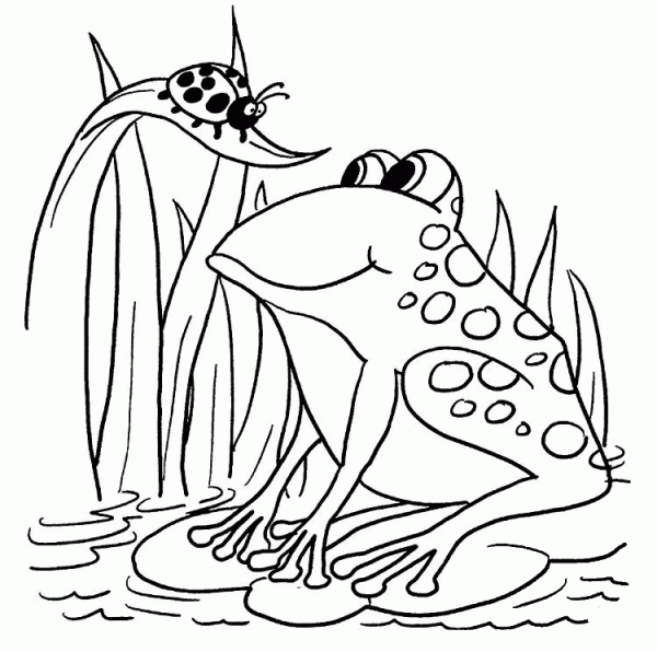 Frog and Ladybug coloring page image