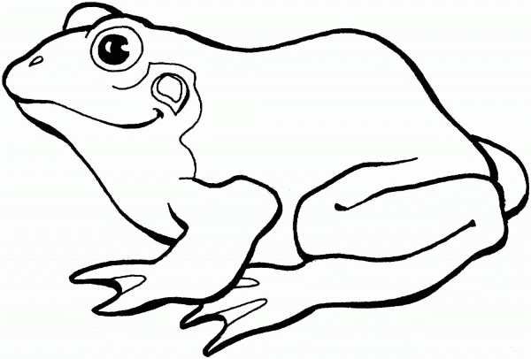 Frog coloring page image