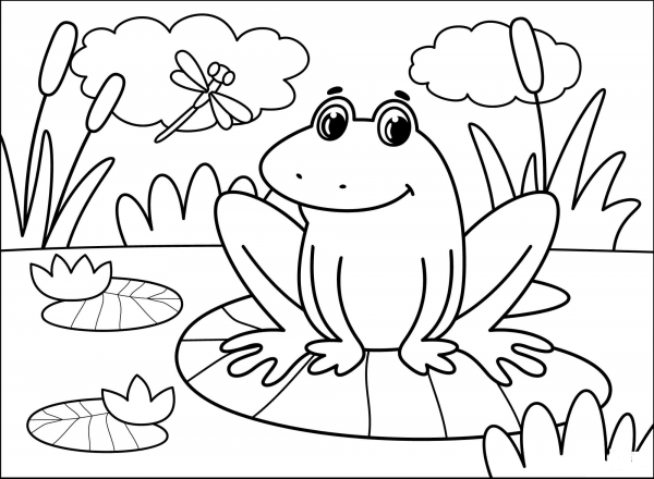 Frog coloring page image