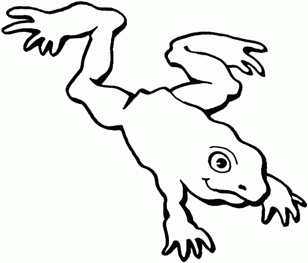 Frog coloring page image
