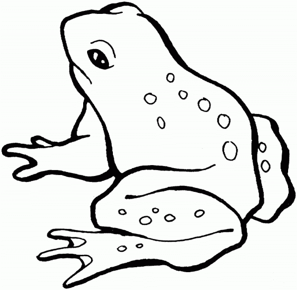 Frog coloring page image