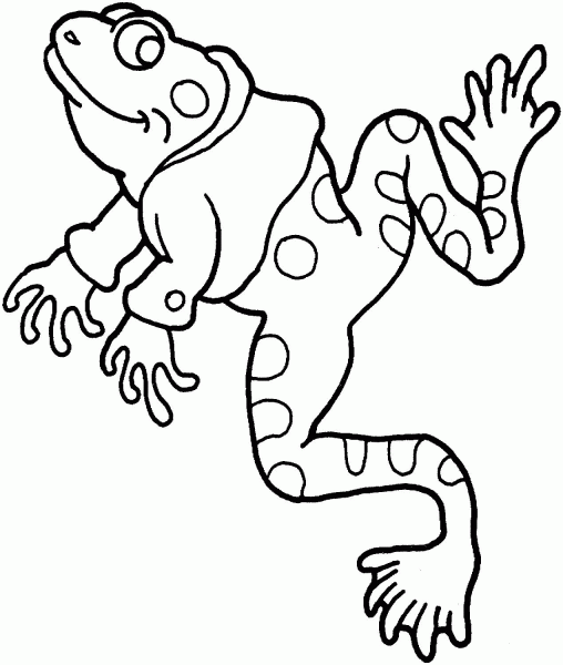 Frog coloring page image