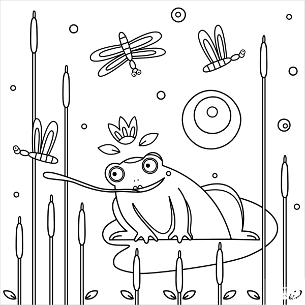 Frog coloring page image