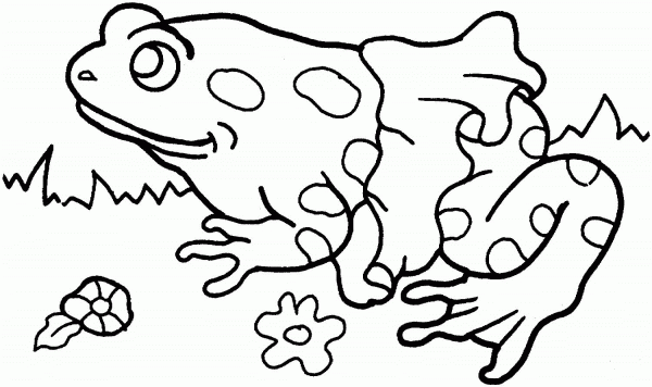 Frog coloring page image