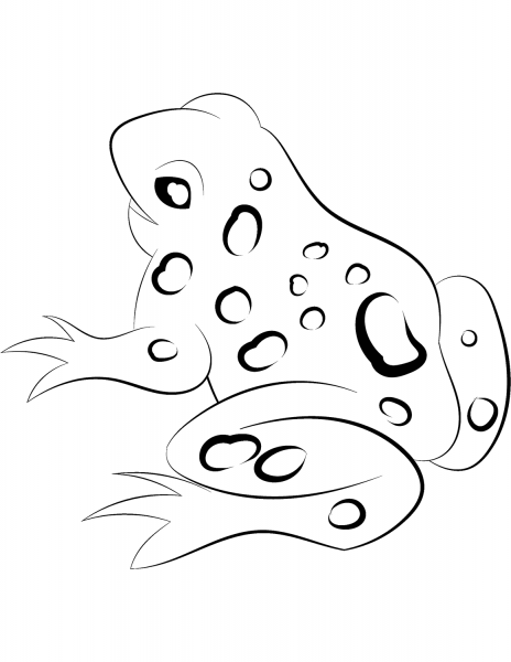 Frog coloring page image