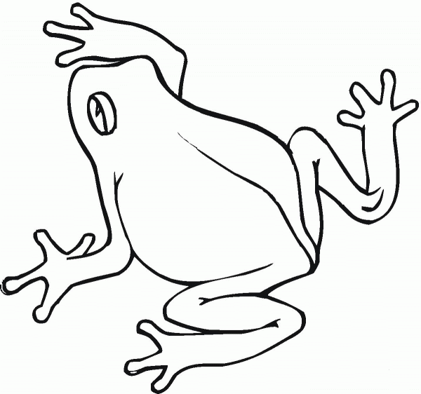 Frog coloring page image