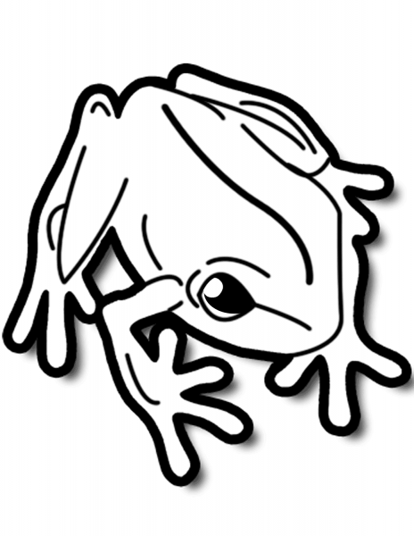Frog coloring page image