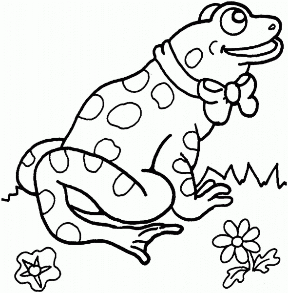 Frog coloring page image