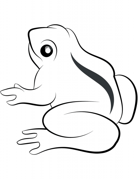 Frog coloring page image