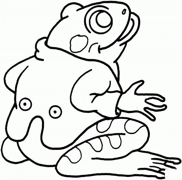 Frog coloring page image