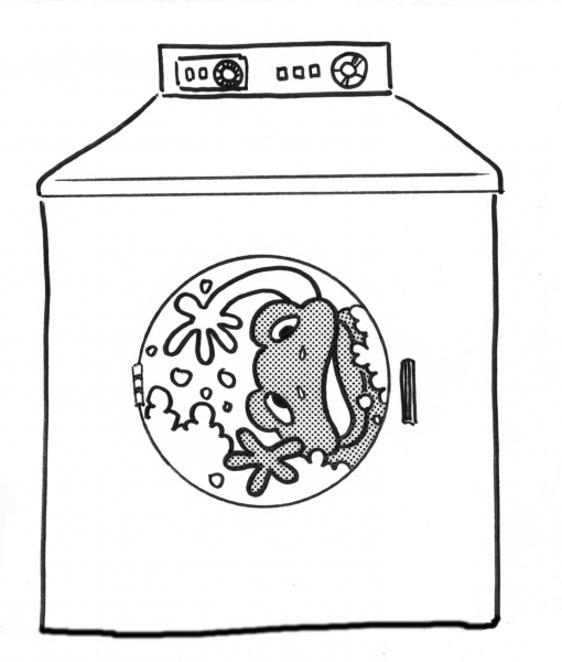Frog in the Washing Machine coloring page image