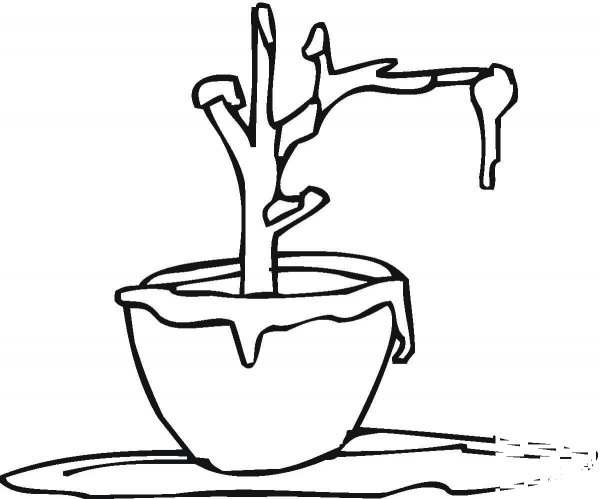 Frost On The Plant  coloring page image
