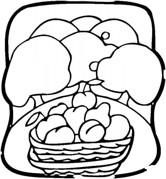 Fruit Garden  coloring page image
