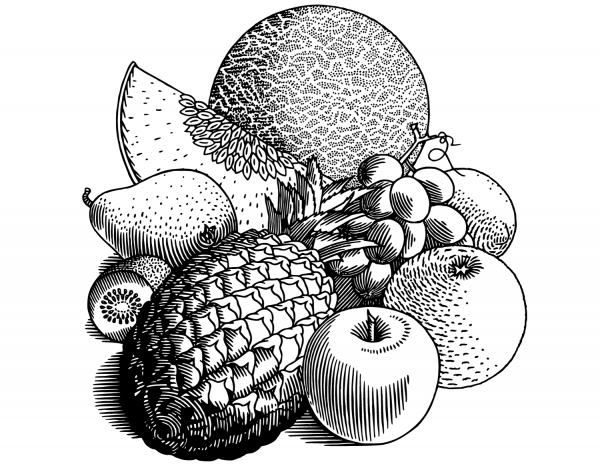 Fruits coloring page image