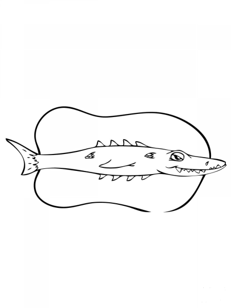 Funny Barracuda coloring page image