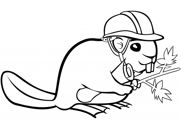 Funny Beaver in a Helmet coloring page image