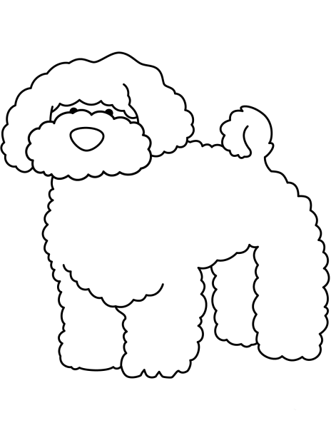 Funny Bichon coloring page image