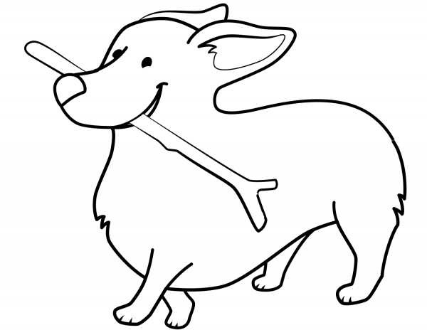 Funny Corgi Holding Stick coloring page image