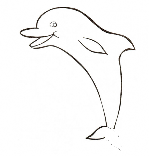 Funny Dolphin coloring page image
