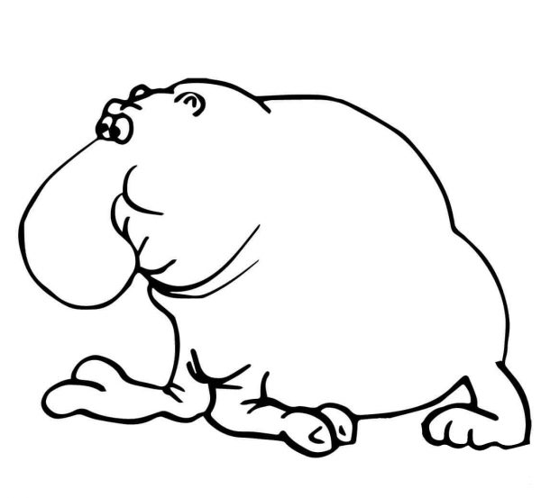 Funny Elephant Seal coloring page image