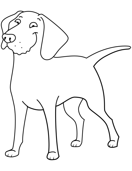 Funny Golden Retriever coloring page image