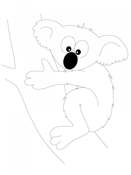 Funny Koala Bear coloring page image