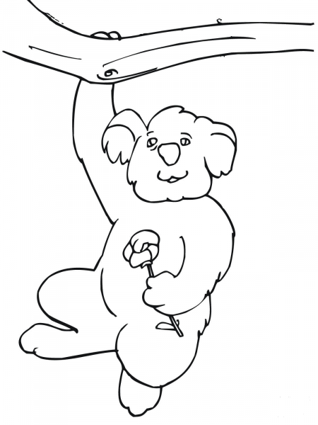 Funny Koala Hanging on a Tree coloring page image