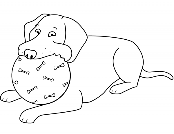 Funny Labrador Retriever Playing Ball coloring page image
