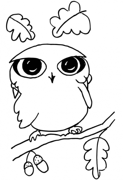 Funny Little Owl  coloring page image