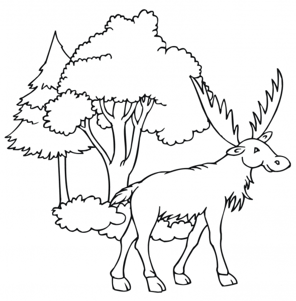 Funny Moose coloring page image