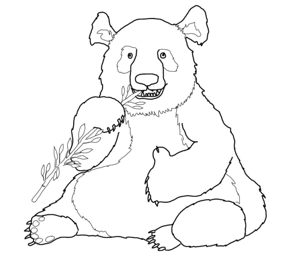 Funny Panda coloring page image