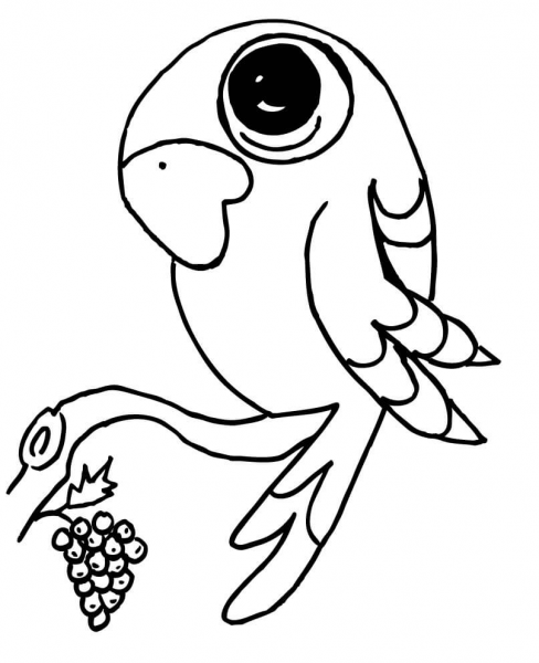 Funny Parrot on a Branch  coloring page image