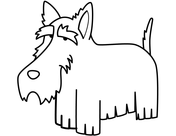 Funny Schnauzer coloring page image