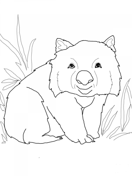 Funny Wombat coloring page image