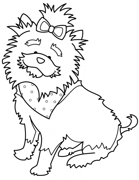 Funny Yorkshire Terrier with Bandana coloring page image