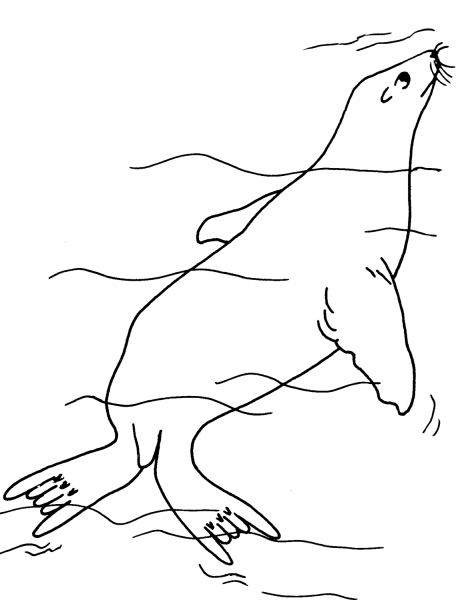 Fur Seal Underwater coloring page image