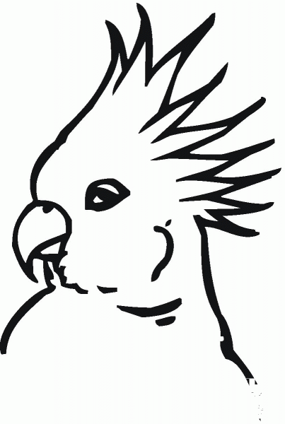 Galah Cockatoo Head coloring page image