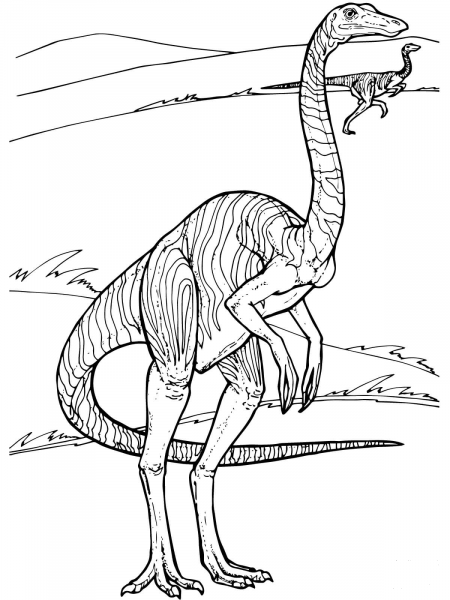 Gallimimus Dinosaur coloring page image