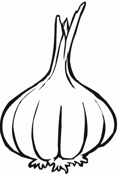 Garlic coloring page image