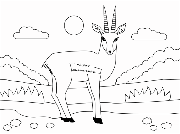 Gazelle coloring page image