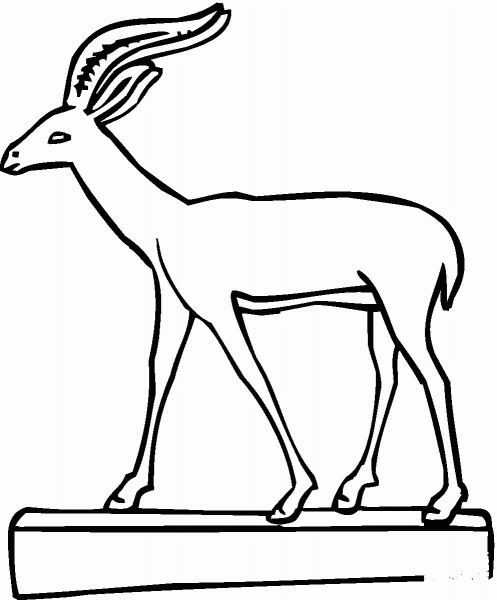 Gazelle coloring page image