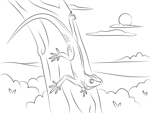 Gecko on A Tree coloring page image