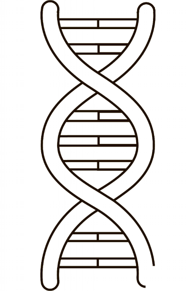 Gene coloring page image