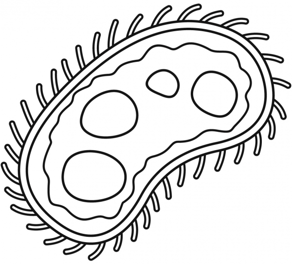 Germ coloring page image