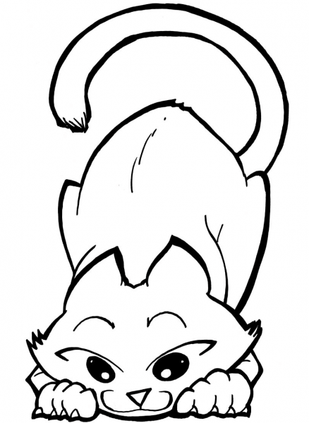 Get Ready to Be Pounced Upon coloring page image