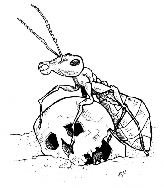Giant Ant coloring page image