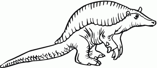 Giant armadillo coloring page image