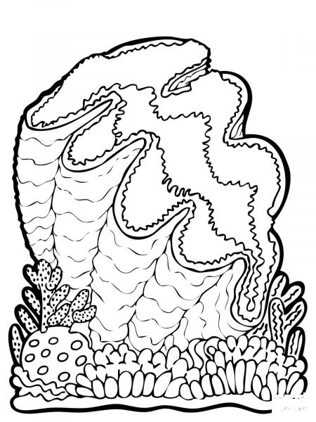 Giant Clam coloring page image